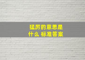 猛厉的意思是什么 标准答案